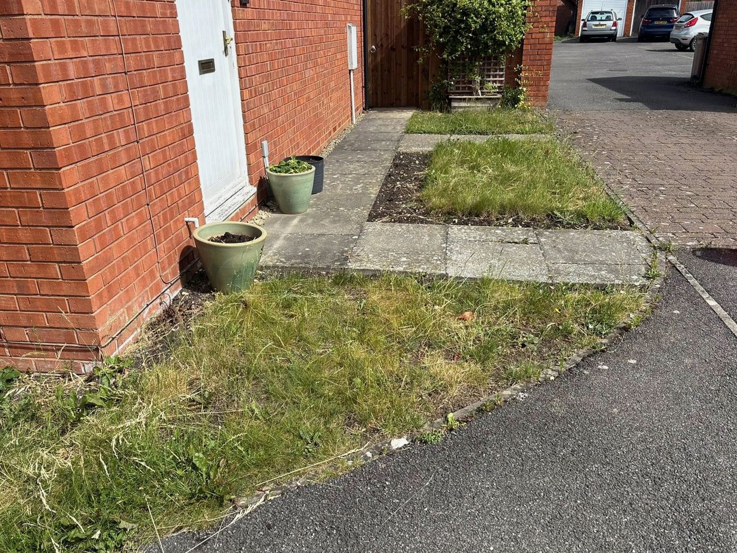 Front garden border before a tidy-up