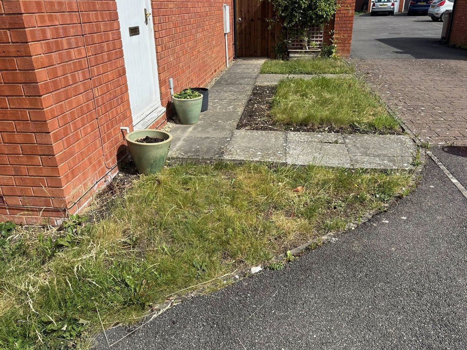 Front garden before a tidy-up