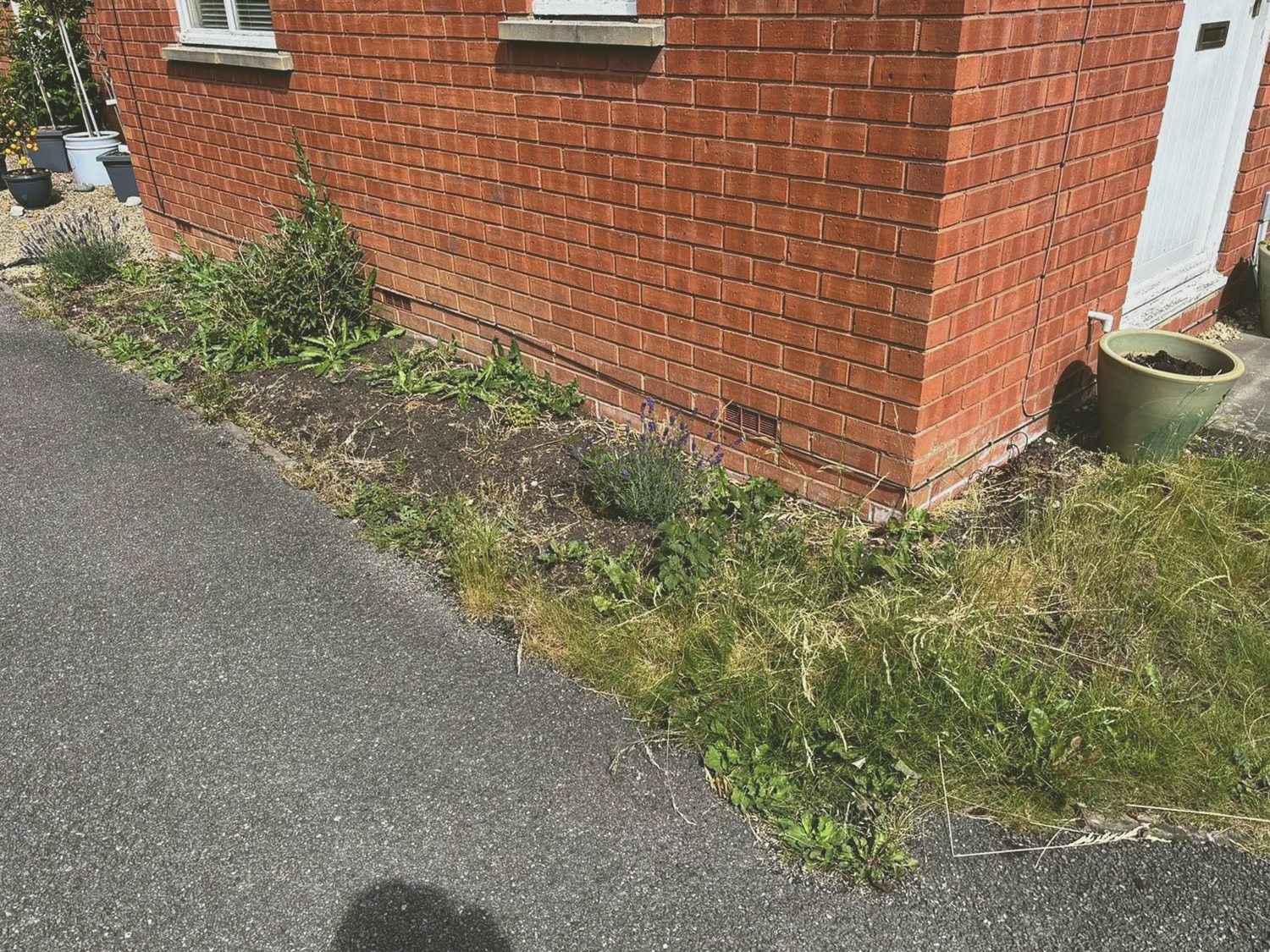 Overgrown side border before garden work