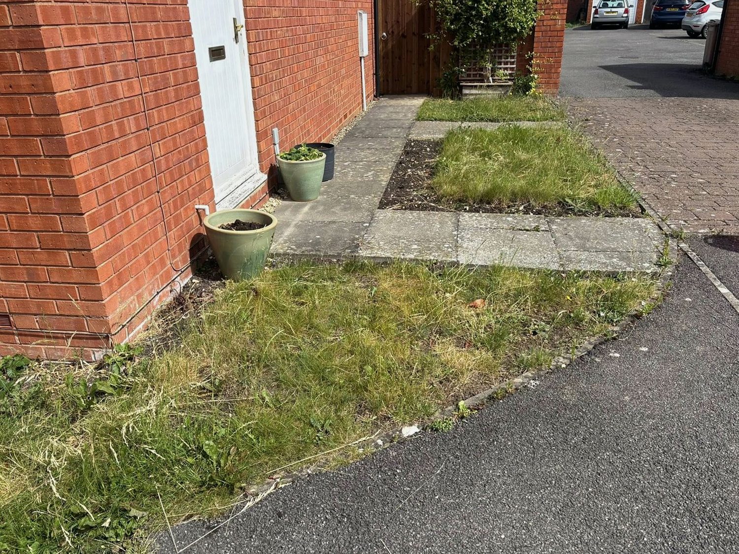 Front garden before a tidy-up