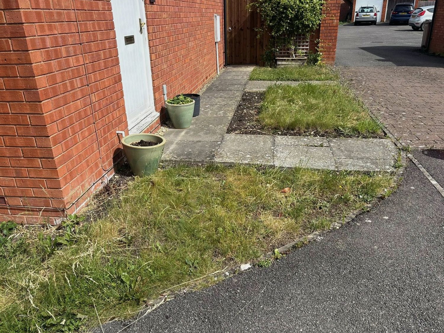 Front garden before a tidy-up