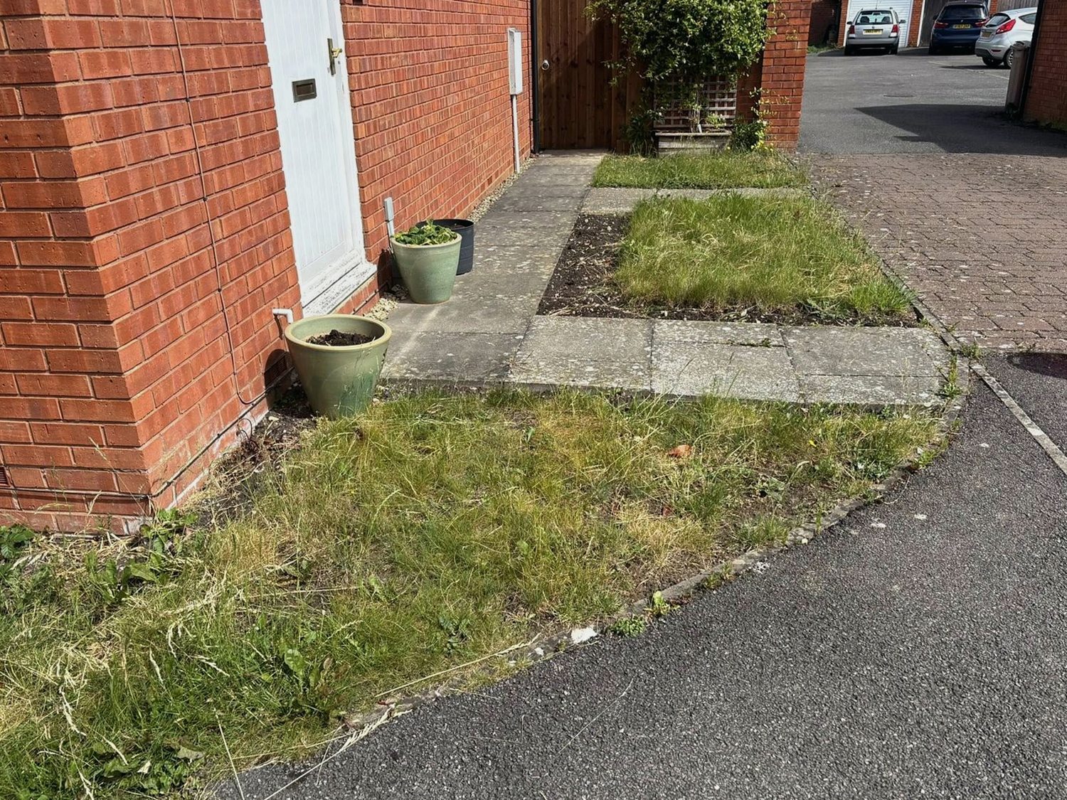 Front garden before a tidy-up