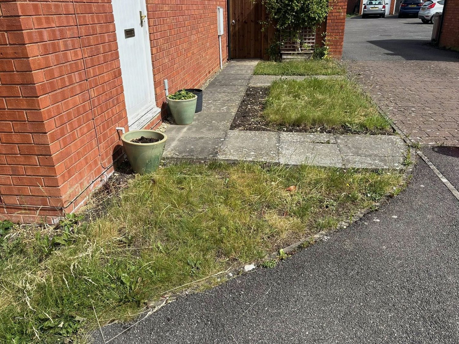 Front garden before a tidy-up