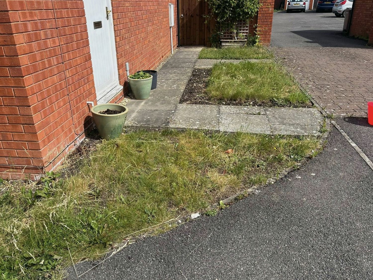 Front garden before a tidy-up