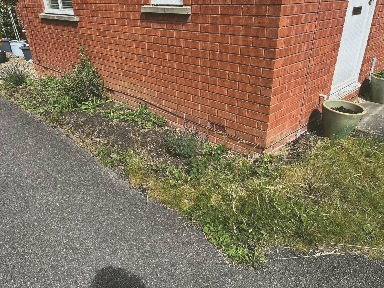 Overgrown side border before garden work