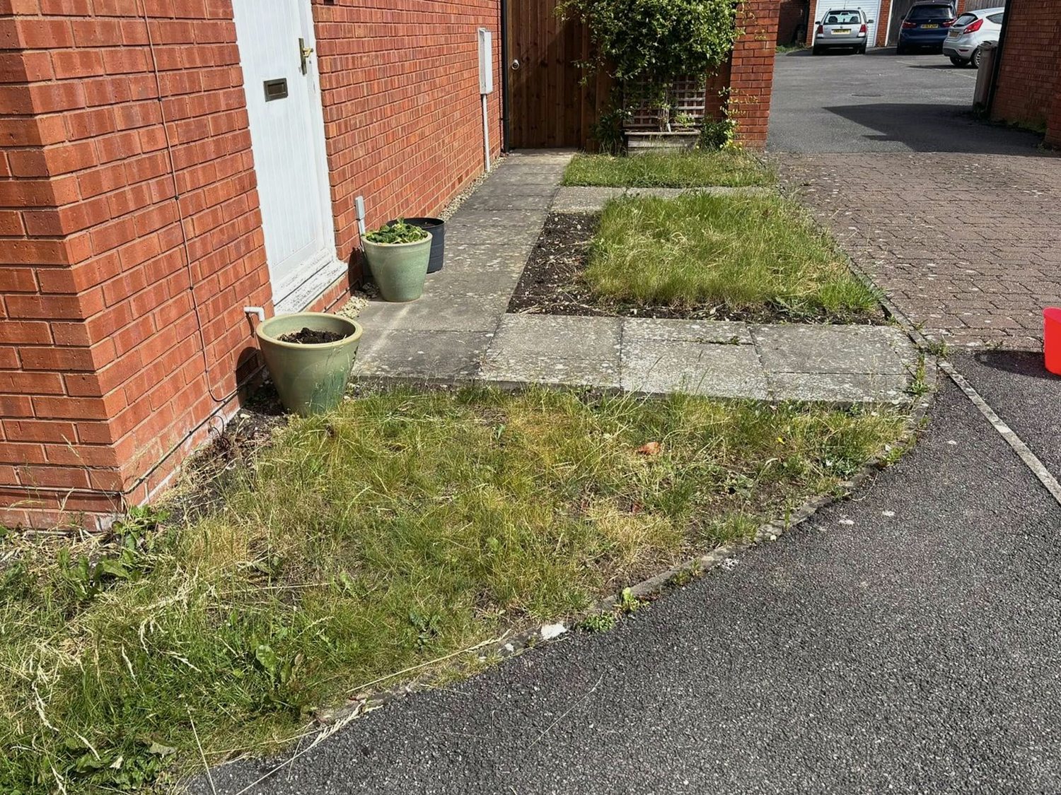 Front garden before a tidy-up