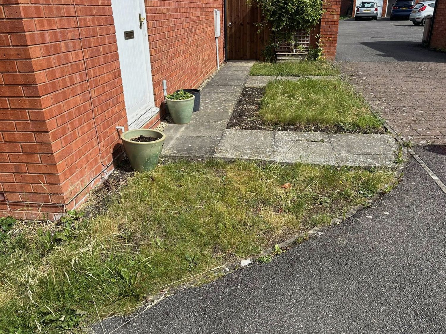 Front garden before a tidy-up